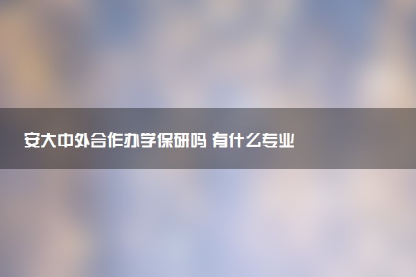 安大中外合作办学保研吗 有什么专业