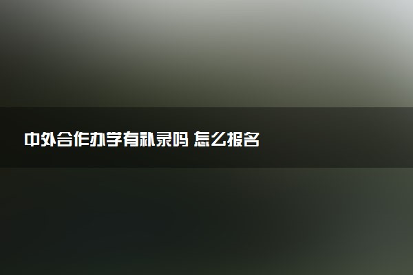 中外合作办学有补录吗 怎么报名