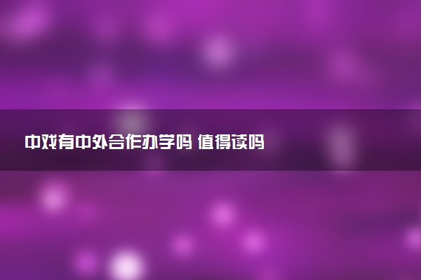 中戏有中外合作办学吗 值得读吗