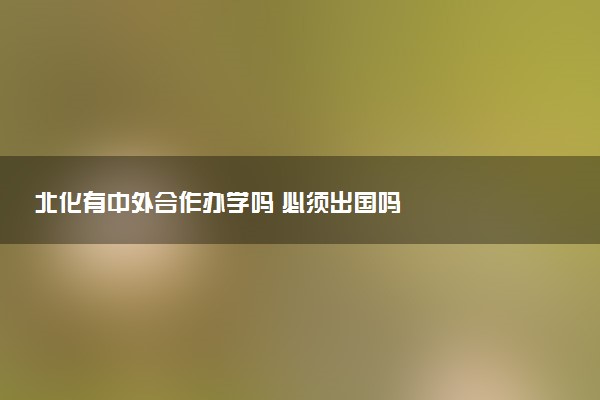 北化有中外合作办学吗 必须出国吗