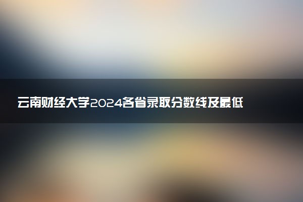 云南财经大学2024各省录取分数线及最低位次是多少