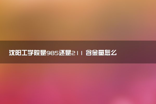 沈阳工学院是985还是211 含金量怎么样