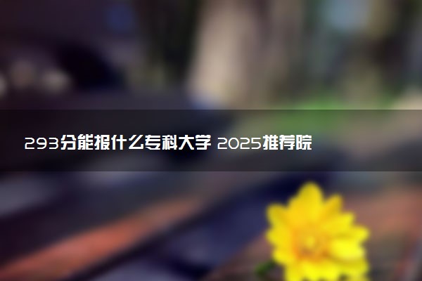 293分能报什么专科大学 2025推荐院校