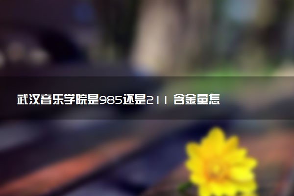 武汉音乐学院是985还是211 含金量怎么样