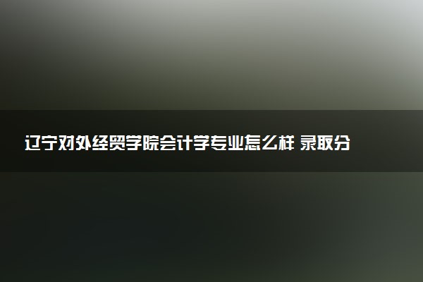 辽宁对外经贸学院会计学专业怎么样 录取分数线多少