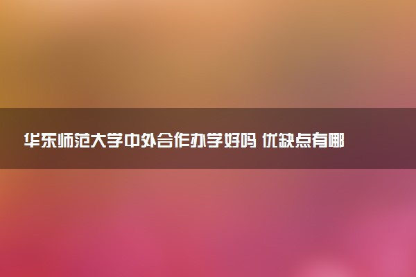华东师范大学中外合作办学好吗 优缺点有哪些