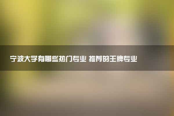 宁波大学有哪些热门专业 推荐的王牌专业