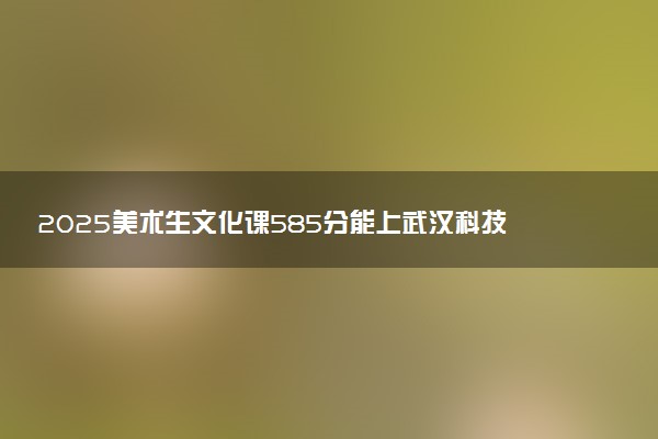 2025美术生文化课585分能上武汉科技大学吗