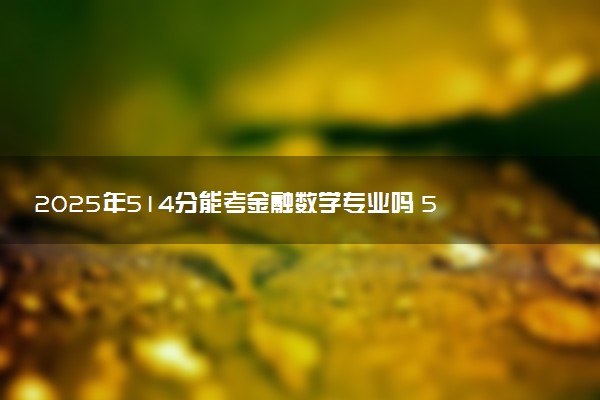 2025年514分能考金融数学专业吗 514分金融数学专业大学推荐