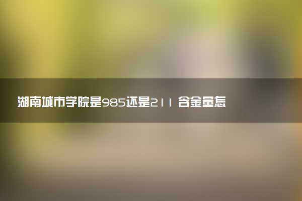湖南城市学院是985还是211 含金量怎么样