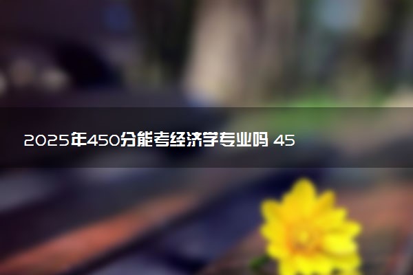 2025年450分能考经济学专业吗 450分经济学专业大学推荐
