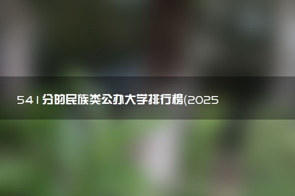 541分的民族类公办大学排行榜（2025考生参考)