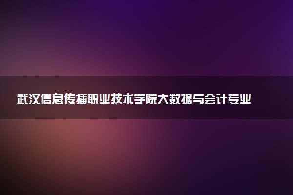 武汉信息传播职业技术学院大数据与会计专业怎么样 录取分数线多少