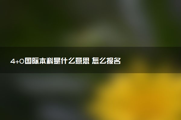 4+0国际本科是什么意思 怎么报名