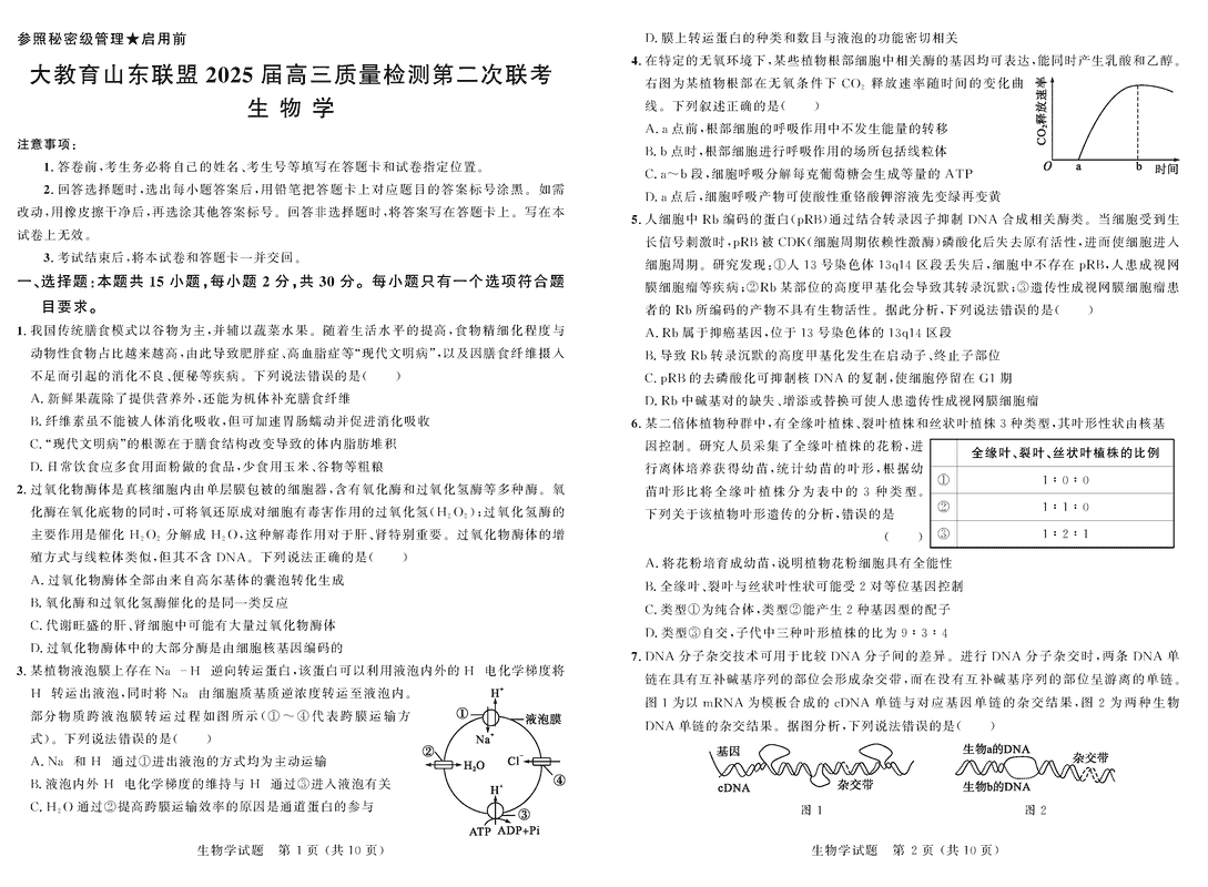 大教育山东联盟2025届高三质量检测第二次联考生物试题及答案