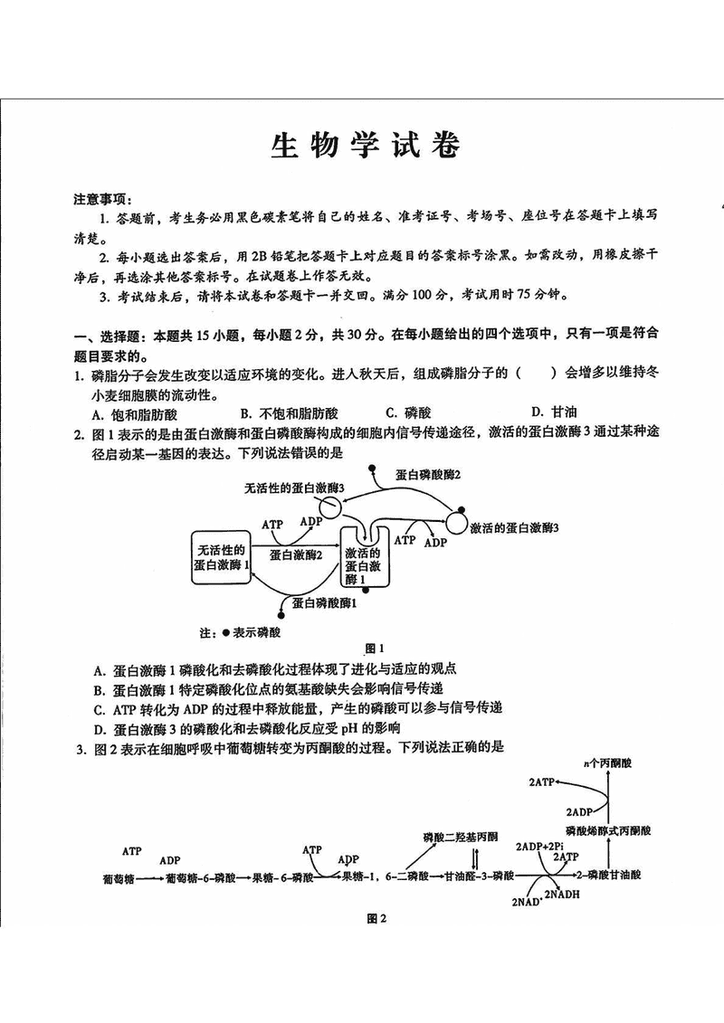 包头市2025届高三下学期4月二模生物试题及答案