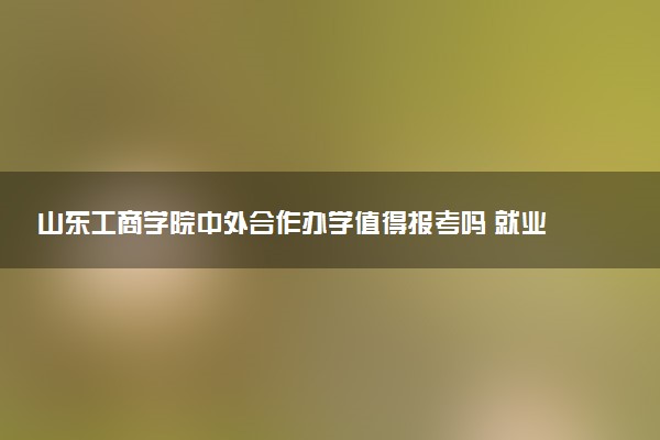 山东工商学院中外合作办学值得报考吗 就业率如何
