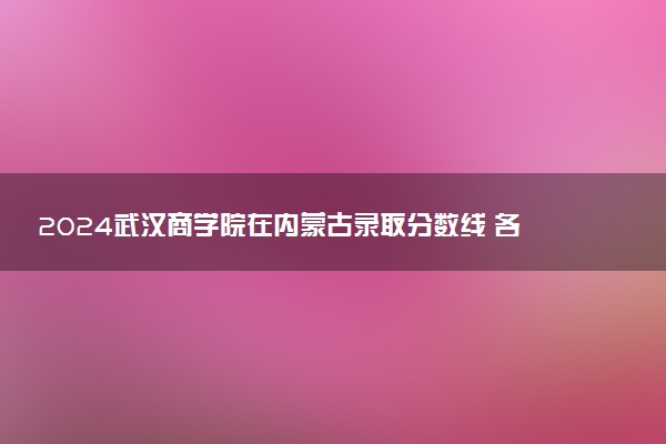 2024武汉商学院在内蒙古录取分数线 各专业分数及位次