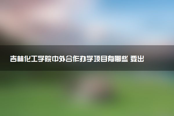 吉林化工学院中外合作办学项目有哪些 要出国吗