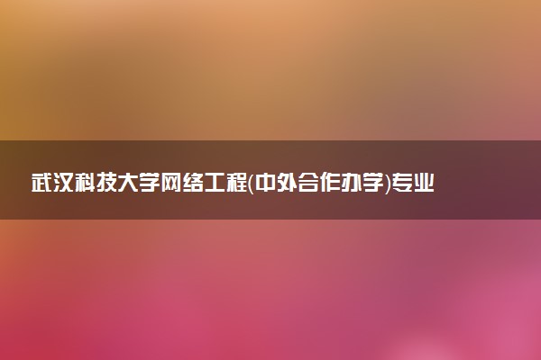 武汉科技大学网络工程（中外合作办学）专业怎么样 录取分数线多少