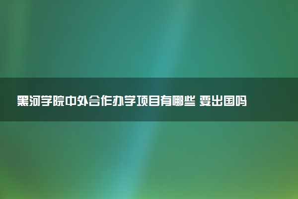 黑河学院中外合作办学项目有哪些 要出国吗