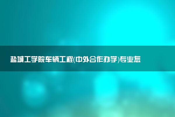 盐城工学院车辆工程（中外合作办学）专业怎么样 录取分数线多少