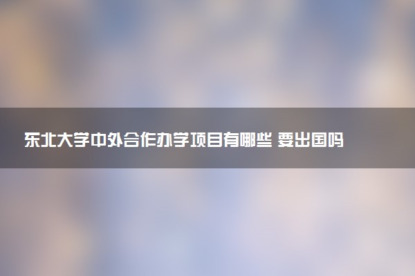 东北大学中外合作办学项目有哪些 要出国吗