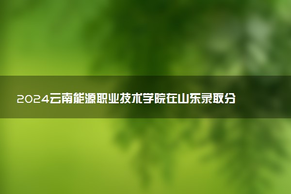2024云南能源职业技术学院在山东录取分数线 各专业分数及位次