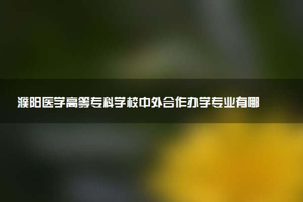 濮阳医学高等专科学校中外合作办学专业有哪些 好就业吗