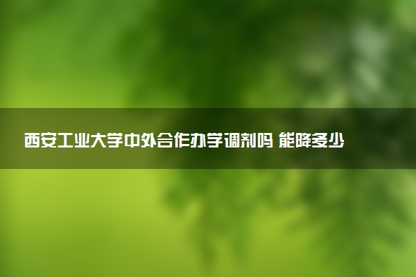 西安工业大学中外合作办学调剂吗 能降多少分