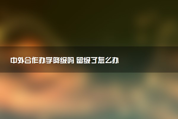 中外合作办学降级吗 留级了怎么办