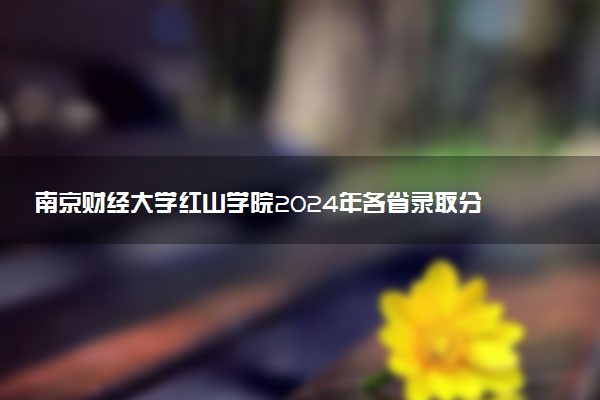 南京财经大学红山学院2024年各省录取分数线 多少分能考上