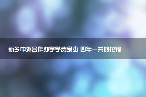 新乡中外合作办学学费多少 四年一共的花销