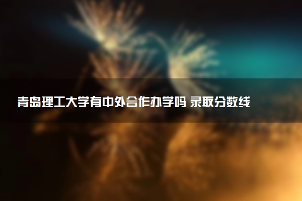 青岛理工大学有中外合作办学吗 录取分数线是多少