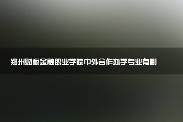郑州财税金融职业学院中外合作办学专业有哪些 好就业吗