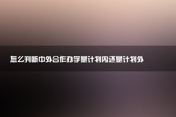 怎么判断中外合作办学是计划内还是计划外 怎么选择