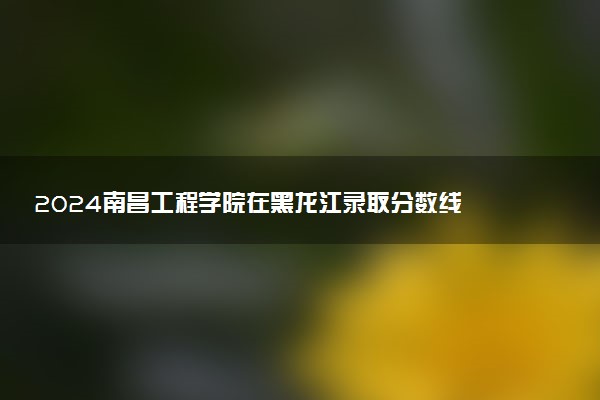 2024南昌工程学院在黑龙江录取分数线 各专业分数及位次