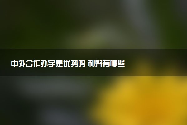 中外合作办学是优势吗 利弊有哪些