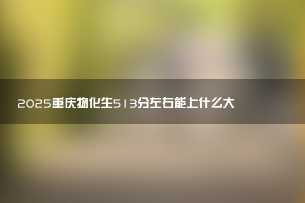 2025重庆物化生513分左右能上什么大学 可以报考的院校名单