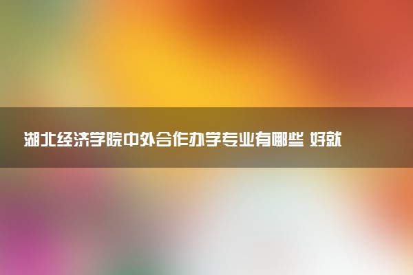 湖北经济学院中外合作办学专业有哪些 好就业吗
