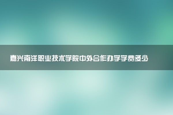 嘉兴南洋职业技术学院中外合作办学学费多少钱 各专业收费标准