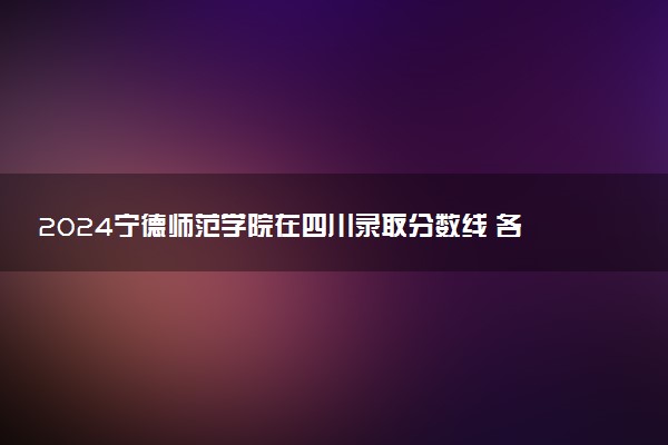 2024宁德师范学院在四川录取分数线 各专业分数及位次
