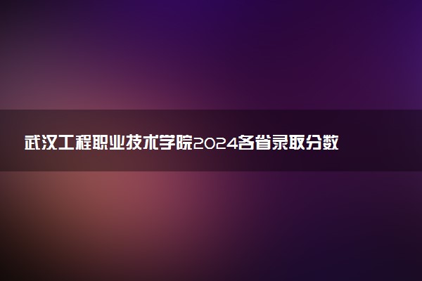 武汉工程职业技术学院2024各省录取分数线及最低位次是多少