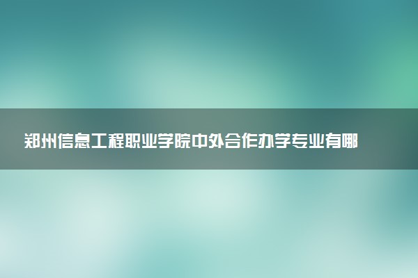 郑州信息工程职业学院中外合作办学专业有哪些 好就业吗
