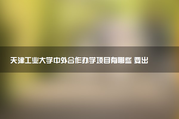 天津工业大学中外合作办学项目有哪些 要出国吗