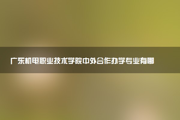 广东机电职业技术学院中外合作办学专业有哪些 好就业吗