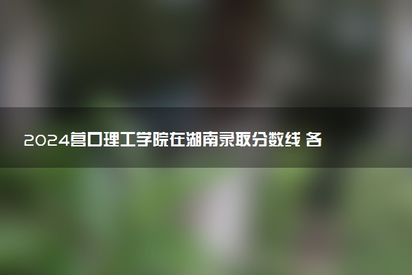 2024营口理工学院在湖南录取分数线 各专业分数及位次
