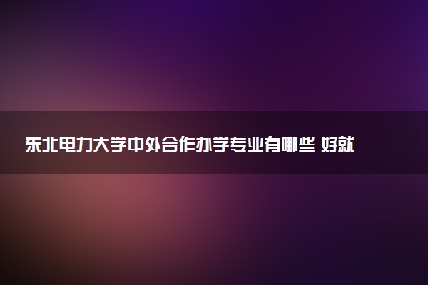 东北电力大学中外合作办学专业有哪些 好就业吗
