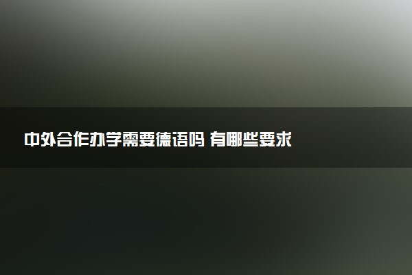 中外合作办学需要德语吗 有哪些要求