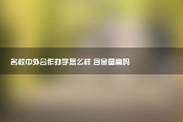 名校中外合作办学怎么样 含金量高吗